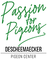 Pigeon Center